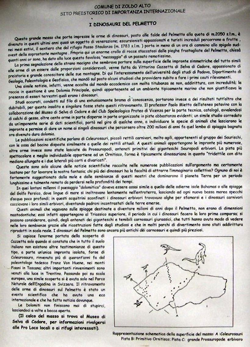 Jurassic Pelmetto